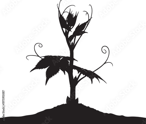 Silhouette of a plant growing from soil with plant part silhouette seedling