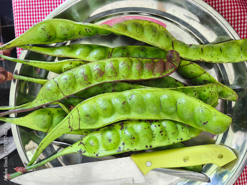 Wallpaper Mural A silver plate filled with fresh petai pods and a knife on a red tablecloth, showcasing a traditional Indonesian ingredient. Torontodigital.ca