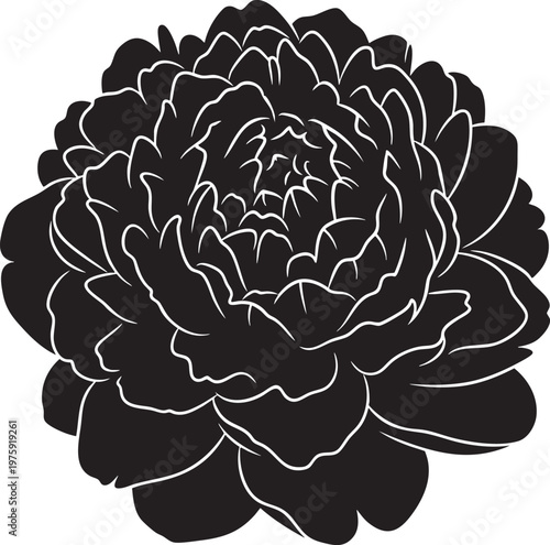 Black silhouette outline of a detailed peony flower head with isolated on white