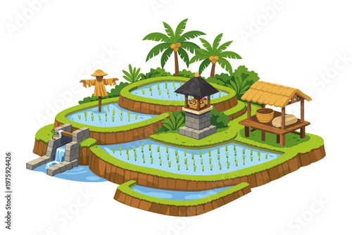 Tropical Rice Terraces Landscape