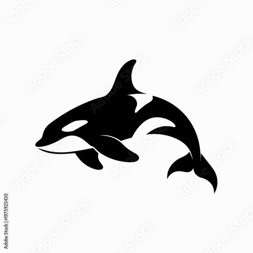 Orca, killer whale, black and white, vector icon, marine animal, wildlife symbol