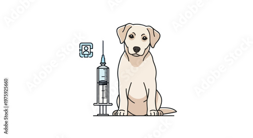 Dog vaccination and veterinary pet health care illustration