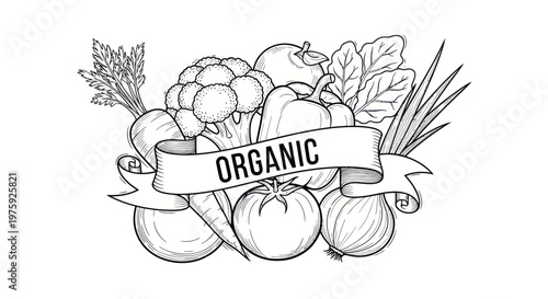 Organic vegetables illustration with banner