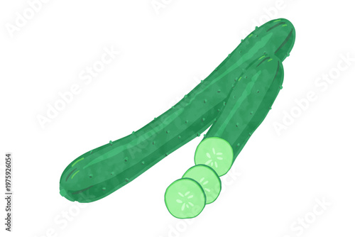 手描き風シンプルなきゅうりのベクターイラスト
