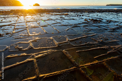 Tessellated Pavement in Tasmania - Australia