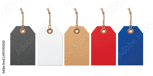 Five rectangular paper hang tags in black white brown red and blue colors with brown twine strings attached through metal reinforced eyelets isolated on a white background