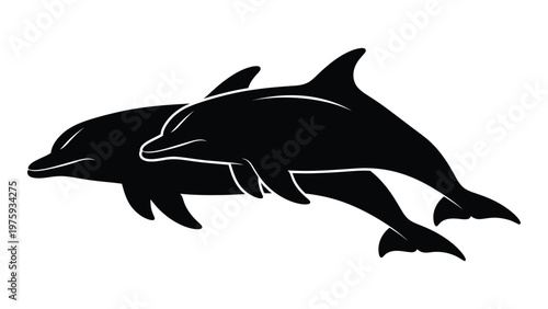 Two dolphins swimming in a dynamic pose depicted in a sleek black silhouette