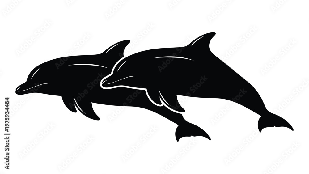 Fototapeta premium Two dolphins leaping and swimming together in a black silhouette illustration