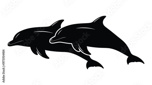 Two dolphins leaping and swimming together in a black silhouette illustration