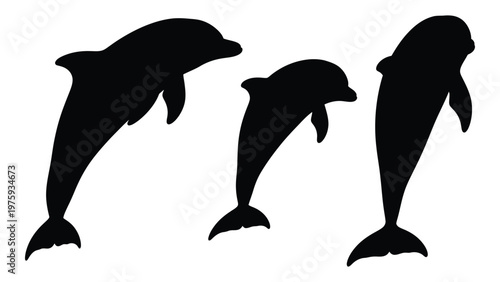 Three black silhouettes of dolphins leaping and playing in a marine environment