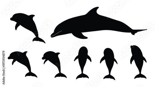 A collection of black silhouettes depicting various dolphin poses and sizes