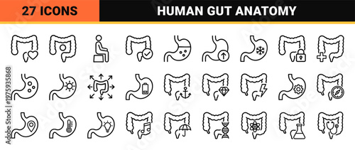 Digestive system and gut health medical line icons