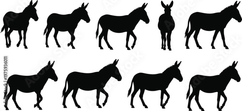 Donkey silhouettes set of standing and walking domestic farm animals in various poses isolated on white background for livestock and rural life design