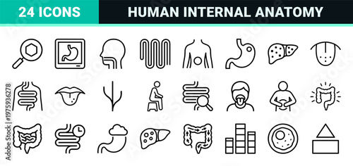 Digestive system health and medical gastroenterology minimalist outline icons