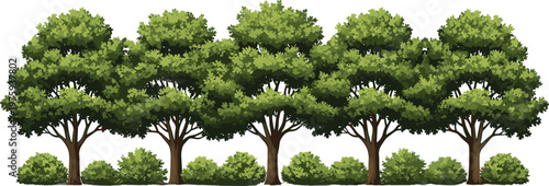 Realistic Vector Illustration of a Lush Garden Row Featuring Leafy Green Trees and Small Bushes for Landscape and Environment DesignRealistic Vector Illustration of a Lush Garden Row Featuring Leafy G