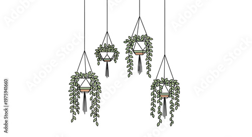 Handmade Macrame Plant Hangers with Green Potted Plants, Boho Chic Home Decor Accents
