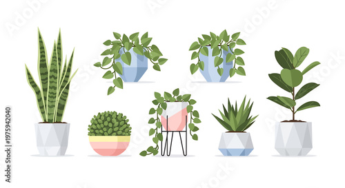 Collection of diverse indoor potted plants, featuring popular green botanicals like snake plants, vibrant hanging foliage, and charming succulents for modern home decor