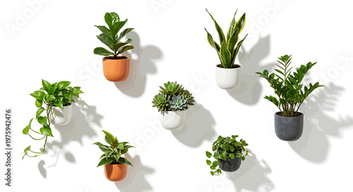 A vibrant collection of healthy green houseplants, displayed in modern wall-mounted pots, bringing a fresh and natural aesthetic to contemporary indoor living spaces