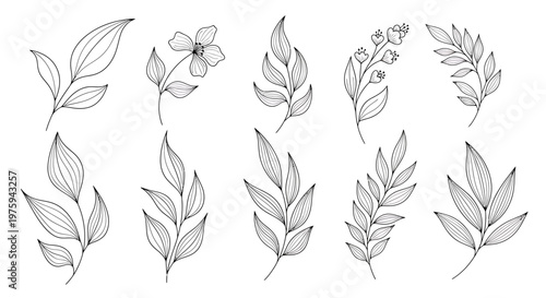 Elegant collection of hand-drawn botanical design elements, featuring diverse leaves and delicate floral sprigs, perfect for nature-inspired themes on invitations, cards, and decorative projects