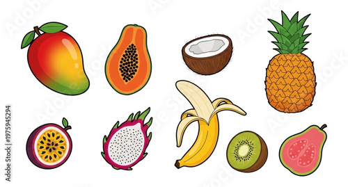 A colorful vector illustration of various tropical fruits on a white background