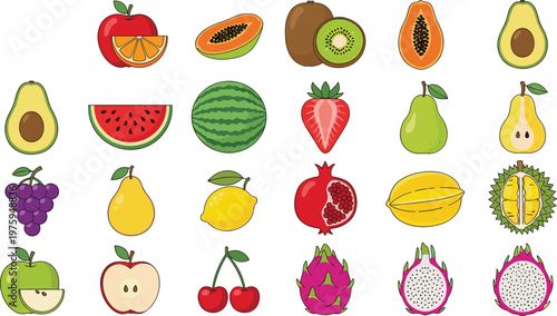 Exotic Fruit Collection Vector Illustration Featuring Papaya, Kiwi, Dragon Fruit, Pomegranate, Watermelon, Avocado and Fresh Organic Food Set Design.
