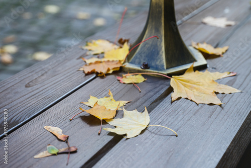 Yellow maple leaves scattered around metal pole base on wooden terrace. Autumn atmosphere, natural textures and seasonal change with shallow depth of field.