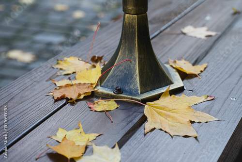 Yellow maple leaves scattered around metal pole base on wooden terrace. Autumn atmosphere, natural textures and seasonal change with shallow depth of field.