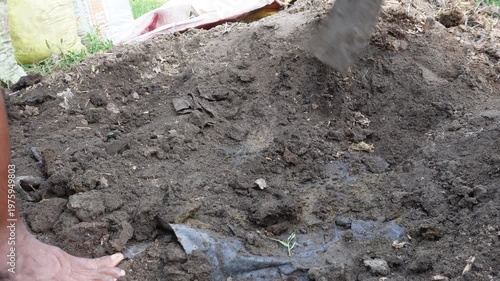 Manual Soil Preparation with Hoe in Organic Farming Garden