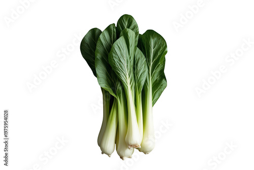 Fresh green bok choy vegetable bundle showcasing healthy organic food for asian cooking, isolated on transparent background
