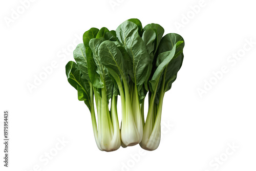 Bunch of fresh baby bok choy featuring vibrant green leaves and white stalks, providing natural nutrition, isolated
