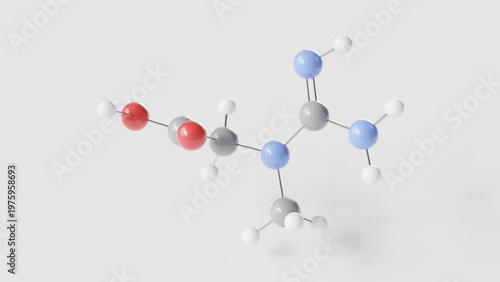 creatine molecule 3d, molecular structure, ball and stick model, structural chemical formula performance enhancing supplement