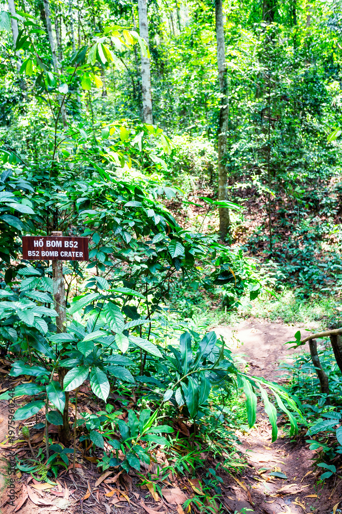custom made wallpaper toronto digitalThe Cu Chi Tunnels in Vietnam