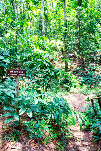The Cu Chi Tunnels in Vietnam