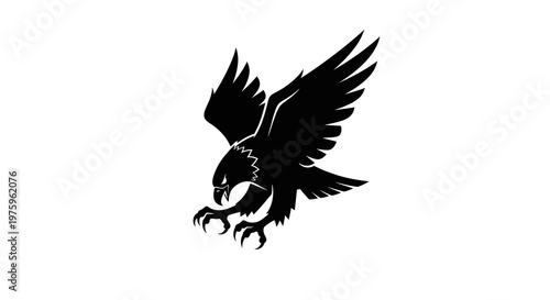 Silhouette of a predatory bird in flight, sharp talons extended, white background