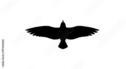 Silhouette of a bird of prey with outstretched wings flying against a white background.