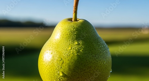 Fresh Green Pear with Water Droplets Close Up