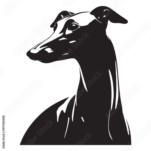Whippet, Sleek, Fast, Agile, Graceful, Elegant, Speedy, Athletic, Slender, Smooth, Short-haired, Gentle, Calm, Friendly, Loving, Loyal, Playful, Quiet, Intelligent, Sensitive, Companion, Family.