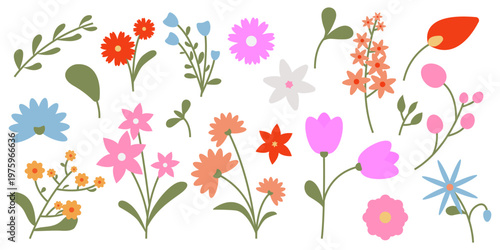 Set of colorful floral design elements. Collection of summer and spring wild flowers, branches, plants and leaves. Suitable for decor, graphic and website. Vector illustration
