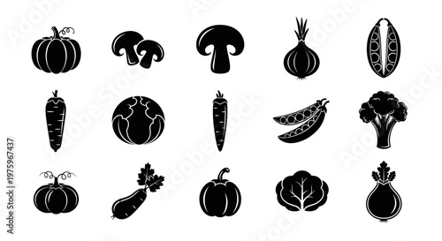 Collection of various fresh vegetables and healthy food items for recipes