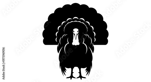 Black Silhouette of a Turkey with its Tail Feathers Displayed