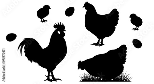 Various Chicken Family Silhouettes Rooster, Hen, Chicks, and Eggs Farm Concepts