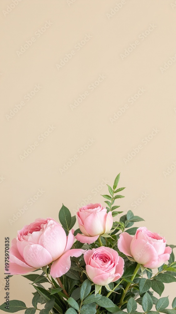 Fototapeta premium Soft Pink Peonies and Roses with Copy Space