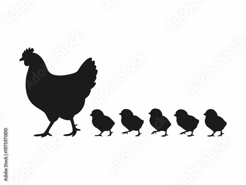 Hen with baby chicks silhouette walking on white background