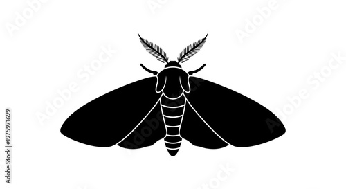 Black Silhouette of a Moth With Antennae and Wings Displayed