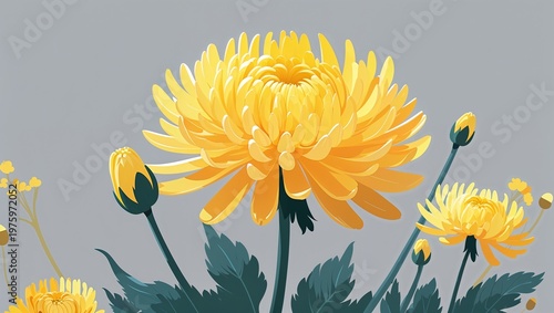 Bright yellow chrysanthemum bloom on a light gray background in a clean decorative and smooth digital art style simple illustration