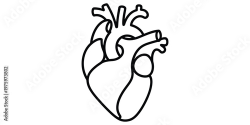 A detailed black and white line art illustration of the human heart showing major anatomical parts