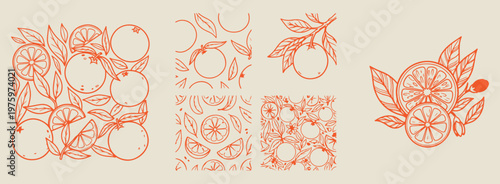 orange citrus and leaf patterns, aesthetic fruit garden doodles, hand drawn nature element sketches, creative botanical line art drawings, minimal citrus fruit sketches, scrapbook nature doodle set, o