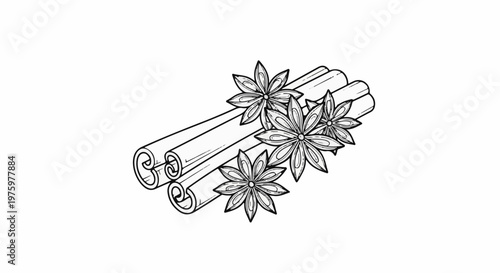 Illustration of cinnamon sticks and star anise spice on a white background