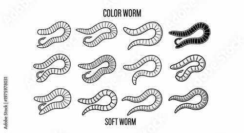 Illustration of segmented worms, some with hooks, in two rows