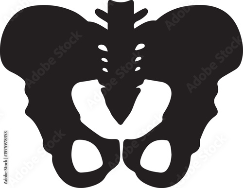 Human pelvic bone anatomy silhouette icon